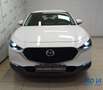 Mazda CX-30 2.0L e-Skyactiv-G 150 CV M Hybrid 2WD Evolve Blanco - thumbnail 7