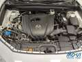 Mazda CX-30 2.0L e-Skyactiv-G 150 CV M Hybrid 2WD Evolve Blanco - thumbnail 8