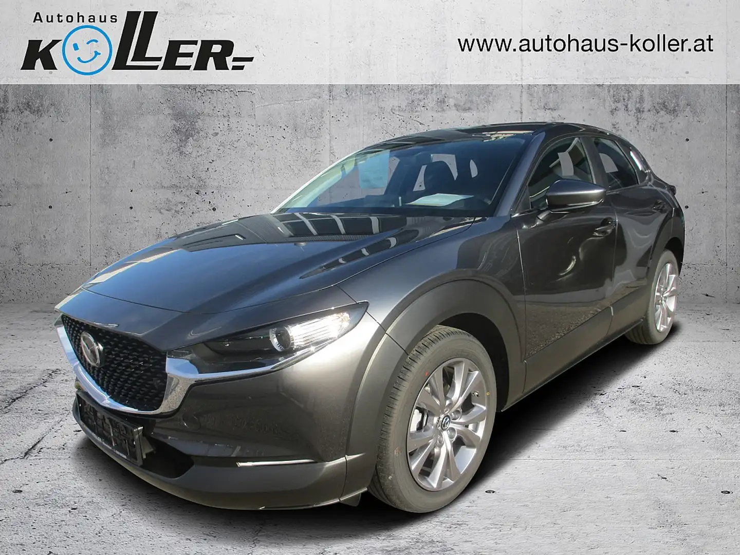 Mazda CX-30 /G140/Centre-Line Grau - 1