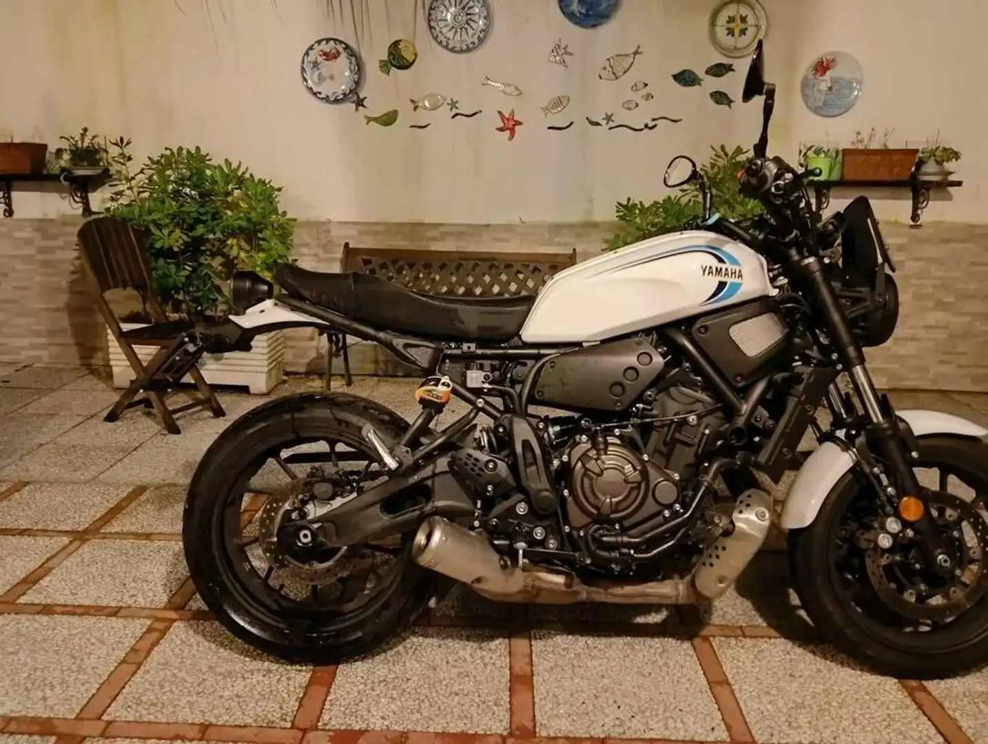 Yamaha XSR 700 Bianco - 2