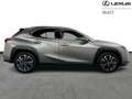 Lexus UX 300h Executive Line Gris - thumbnail 16