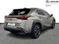 Lexus UX 300h Executive Line Gris - thumbnail 17