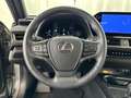 Lexus UX 300h Executive Line Gris - thumbnail 25