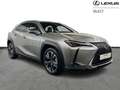Lexus UX 300h Executive Line Gris - thumbnail 18