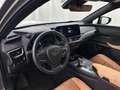 Lexus UX 300h Executive Line Gris - thumbnail 22