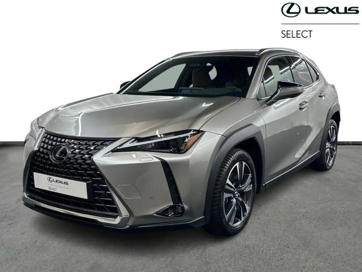 Lexus UX 300h Executive Line Gris - 1