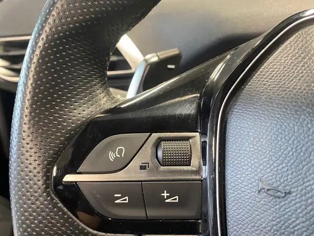 Peugeot 3008 view 12