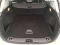 Fiat Tipo Station Wagon 1.6 Multijet Business Bianco - thumbnail 20