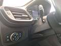 Ford Puma Titanium X - ACC BLIS KAMERA NAVI PDC DAB Schwarz - thumbnail 14