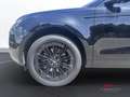 Land Rover Range Rover Evoque 2.0 AJ21-D4M SWB S -AUTOCARRO Schwarz - thumbnail 14