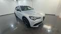 Alfa Romeo Stelvio 2.2 TD Veloce Q4 210cv auto - TETTO-CERCHI 21 Gri - thumbnail 3