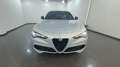 Alfa Romeo Stelvio 2.2 TD Veloce Q4 210cv auto - TETTO-CERCHI 21 Gri - thumbnail 2