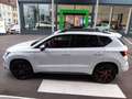 CUPRA Ateca 4Drive *Ihr Cupra Vertragspartner* Blanc - thumbnail 10