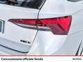 Skoda Octavia wagon 1.0 e-tec executive dsg Grigio - thumbnail 18
