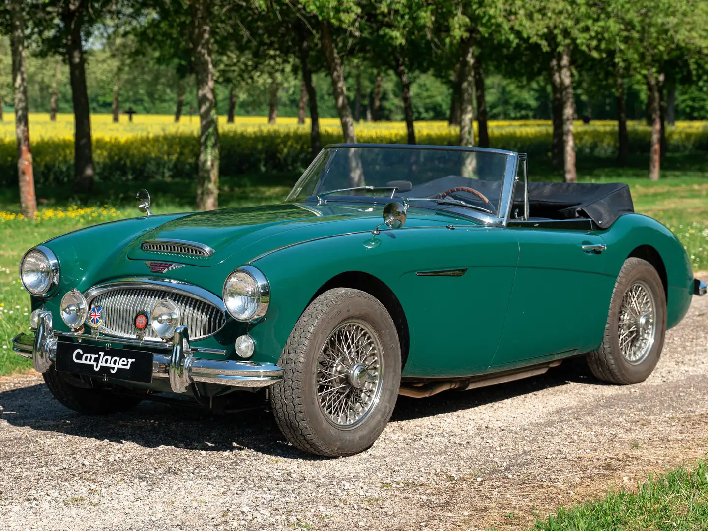 Austin-Healey MK3 BJ8 overdrive Verde - 1