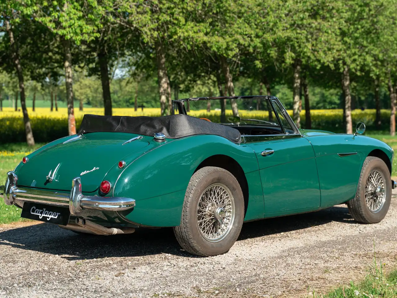 Austin-Healey MK3 BJ8 overdrive, foto 2
