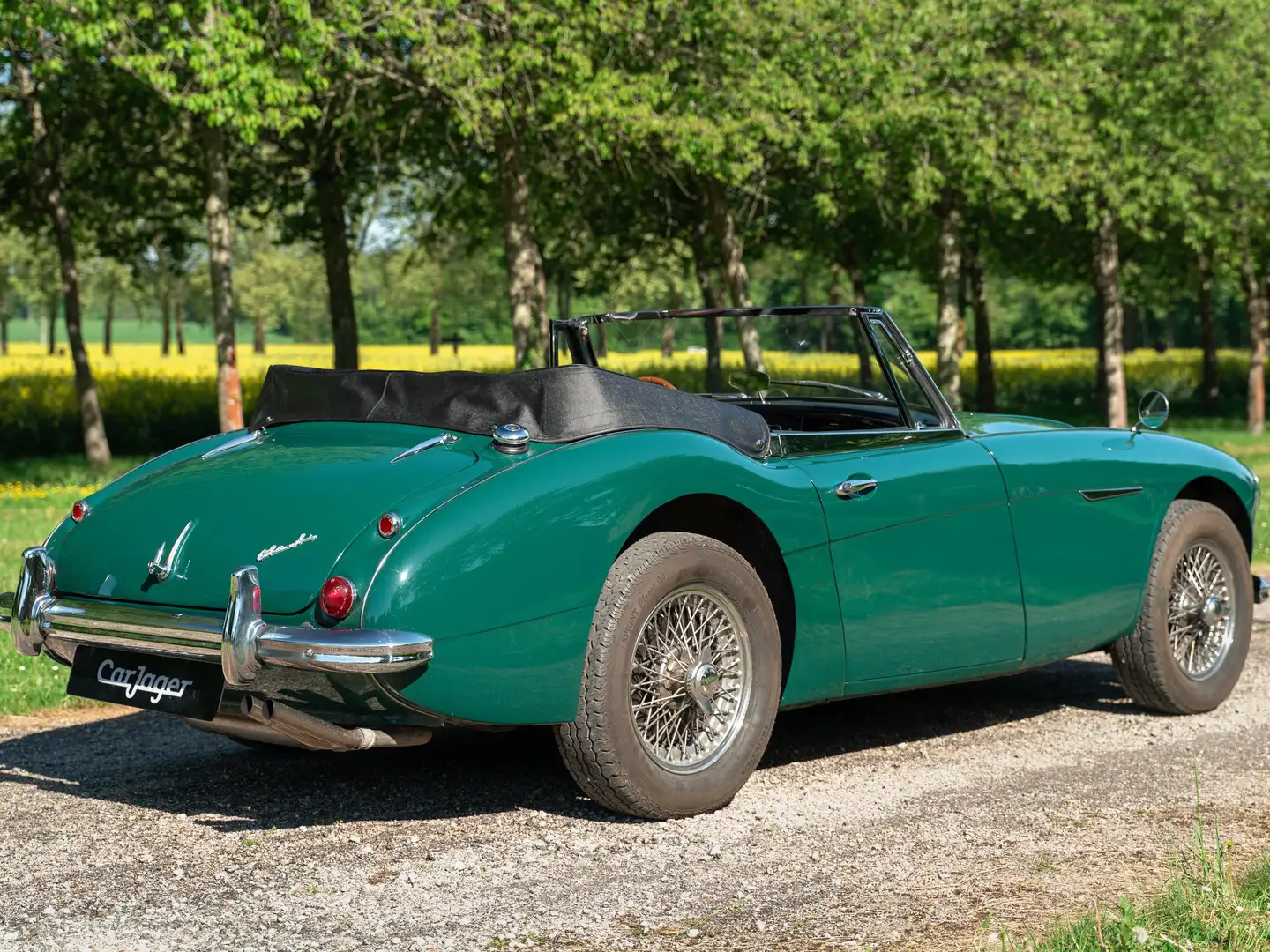 Austin-Healey MK3 BJ8 overdrive Verde - 2