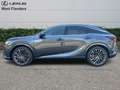 Lexus RX 450h Privilege Line + 360° camera+s Grijs - thumbnail 5