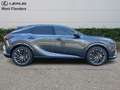 Lexus RX 450h Privilege Line + 360° camera+s Grijs - thumbnail 3