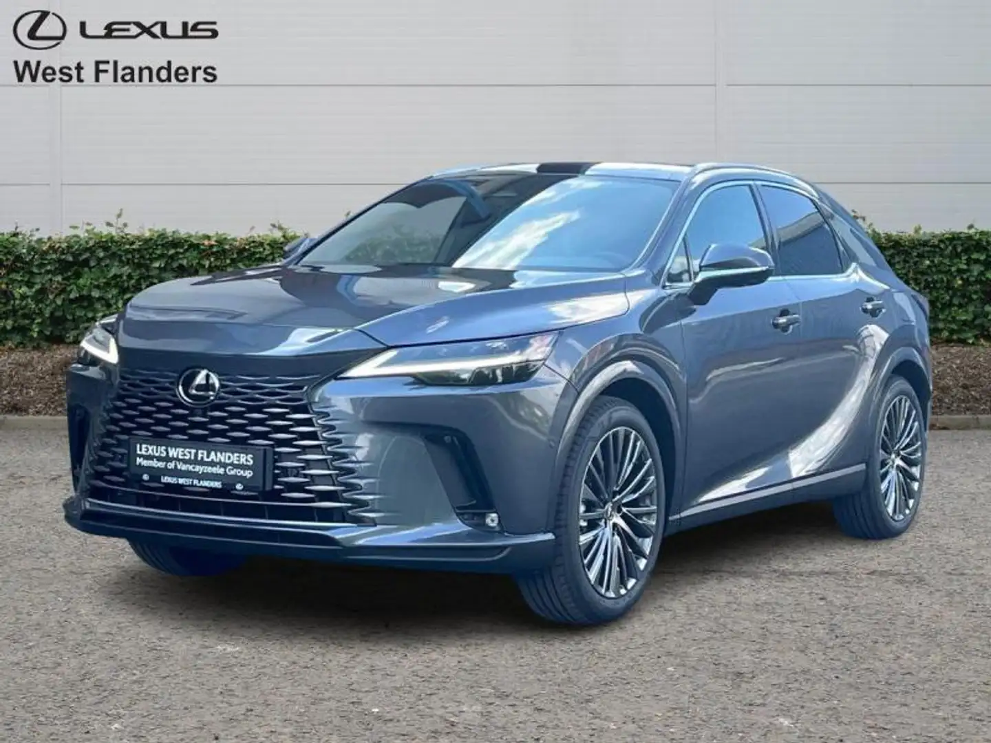 Lexus RX 450h Privilege Line + 360° camera+s Grijs - 1