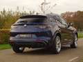 Alfa Romeo Stelvio 2.9 V6 AWD Quadrifoglio | 1e Eig | Dealerond. | Ad Blau - thumbnail 3