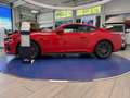 Ford Mustang 5,0l Ti-VCT V8  GT #B&O #ACC #Keyfree - thumbnail 7