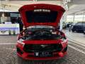 Ford Mustang 5.0 GT V8 Cabrio 6g. Garantie 4J/100TKM Rot - thumbnail 40