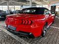 Ford Mustang 5.0 GT V8 Cabrio 6g. Garantie 4J/100TKM Rouge - thumbnail 13