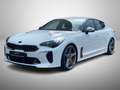Kia Stinger GT 4WD Harman-Kardon HUD LED 360° Bianco - thumbnail 1