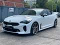 Kia Stinger GT 4WD Harman-Kardon HUD LED 360° Bianco - thumbnail 2