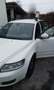 Volvo V50 V50 1.6 d2 R-design 115cv Blanco - thumbnail 5