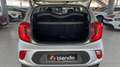 Kia Picanto 1.0 DPi Concept Zilver - thumbnail 9