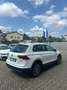 Volkswagen Tiguan 2.0 TDI SCR DSG Business 4 MOTION Blanc - thumbnail 5