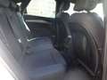 Audi Q5 SportBack 40 TDI quattro 2xS-Line Cerchi20 Navi Bianco - thumbnail 11