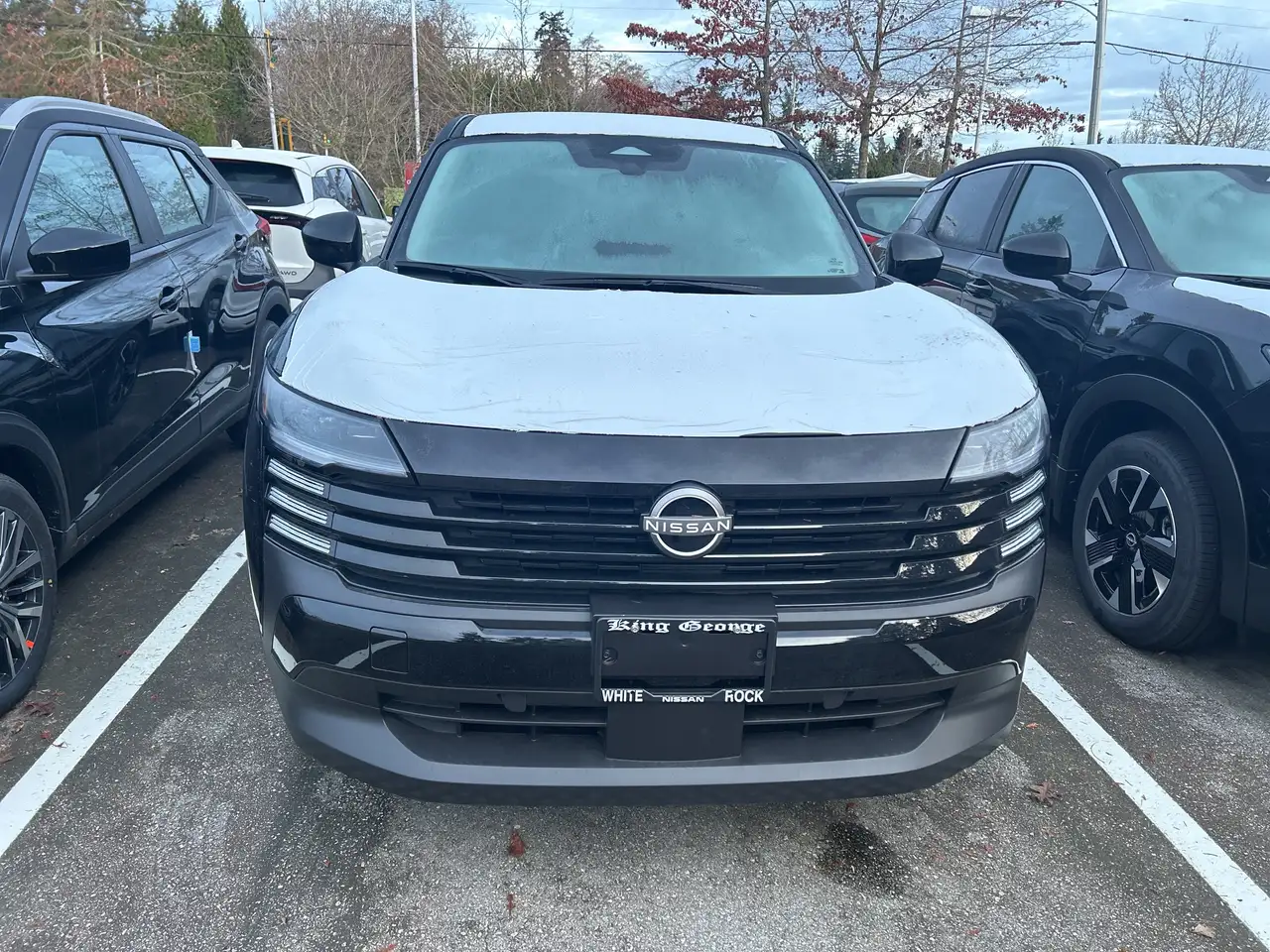 Nissan Kicks снимка Nissan Kicks