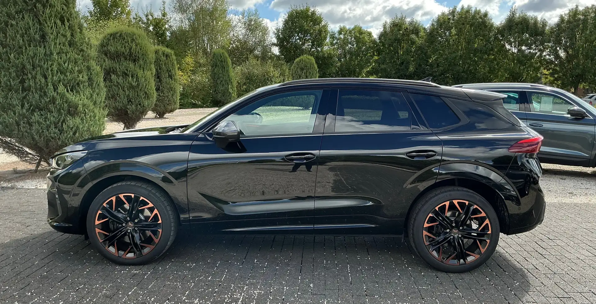 CUPRA Terramar 2.0 TSI 195 kW 4Drive VZ Matrix Pano Schwarz - 2