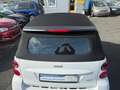 smart forTwo Cabrio Micro Hybrid Drive Klima S/H ALU Білий - thumbnail 7
