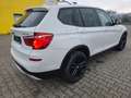 BMW X3 X3 Diesel xDrive20d xLine Weiß - thumbnail 4