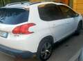 Peugeot 2008 AllURE Bianco - thumbnail 2