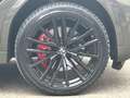 BMW X6 30d xDrive *MSPORT*PANO*HUD*SITZKL*B&W*AHK*22'' Grau - thumbnail 29