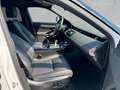 Land Rover Range Rover Evoque RR Evoque P200 R-DYNAMIC SE AWD Automatik ACC Weiß - thumbnail 3