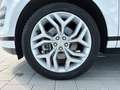 Land Rover Range Rover Evoque RR Evoque P200 R-DYNAMIC SE AWD Automatik ACC Weiß - thumbnail 9