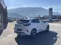 Ford Puma 1,0 EcoBoost Hybrid ST-Line Blanc - thumbnail 11