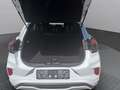 Ford Puma 1,0 EcoBoost Hybrid ST-Line Weiß - thumbnail 22