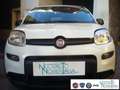 Fiat Panda 1.0 FireFly S&S Hybrid Pandina Urban Km 0 Wit - thumbnail 2