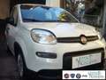 Fiat Panda 1.0 FireFly S&S Hybrid Pandina Urban Km 0 Wit - thumbnail 4