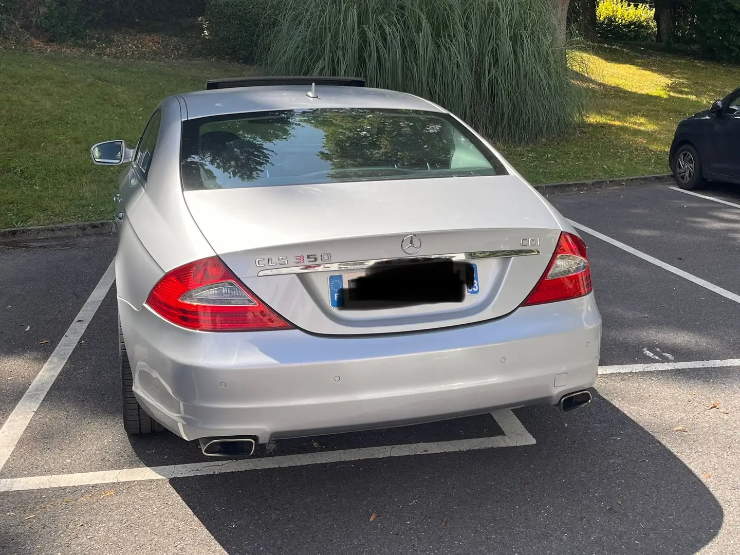 Mercedes-Benz 350 350-CDI Gris - 2