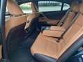 Lexus ES 300 h 215CV Luxury Hybrid Automatic Blau - thumbnail 17