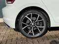 Volkswagen Polo 1.0 TSI Comfortline * Carplay * Adaptieve Cruise C Blanc - thumbnail 42