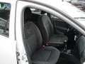 Dacia Sandero Sandero 0.9 tce Laureate Family Gpl s Bianco - thumbnail 13